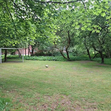10383-ulfborg-graemvej-41 *